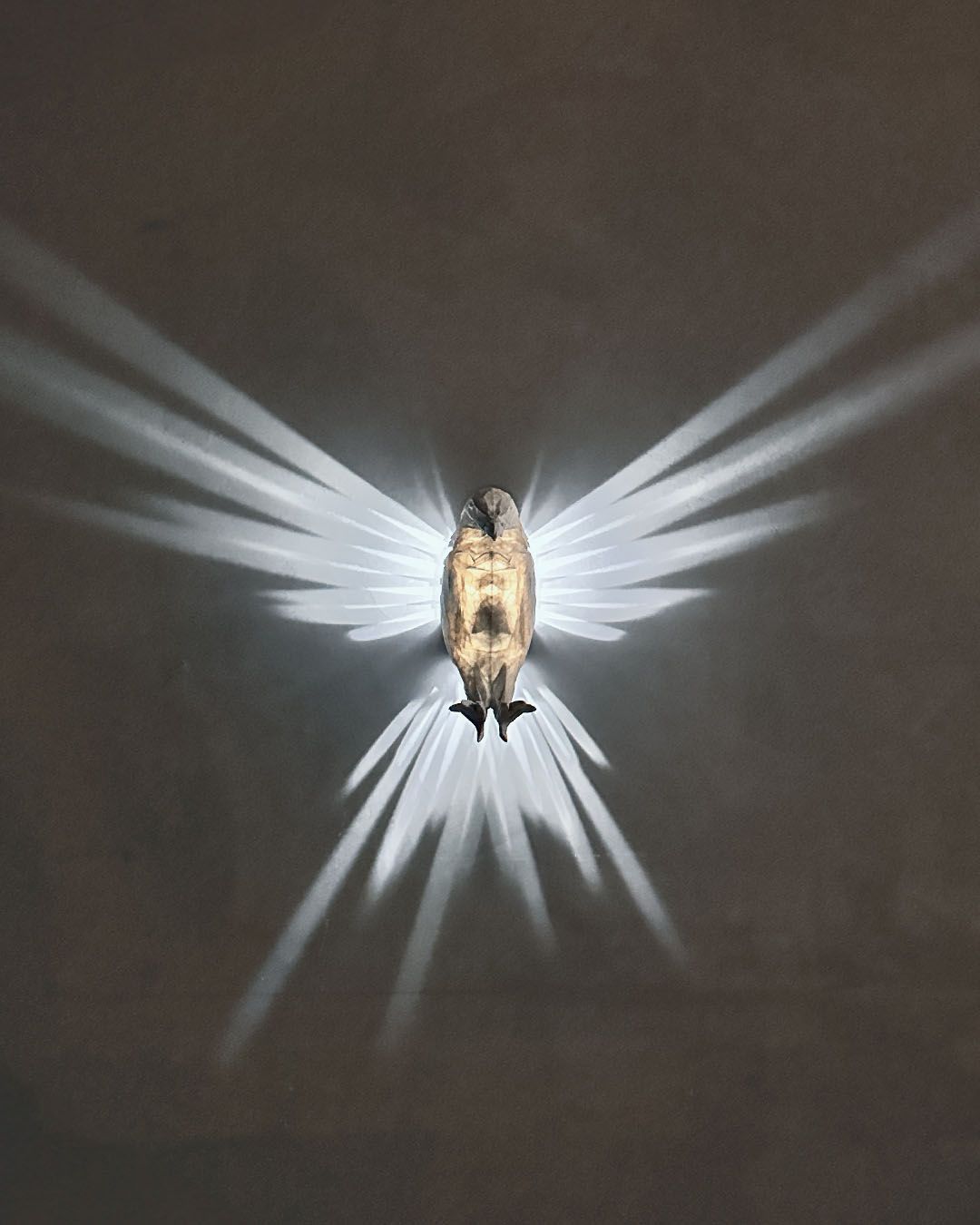 Bald Eagle | Wall Light